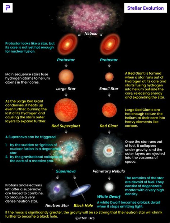 Aryana Rose Wikipedia: Uncovering Details About a Star and a Series